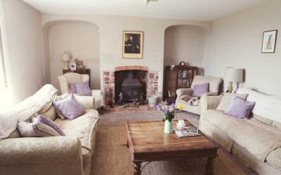 Why we think your dog may like home boarding at The Country Dog Hotel