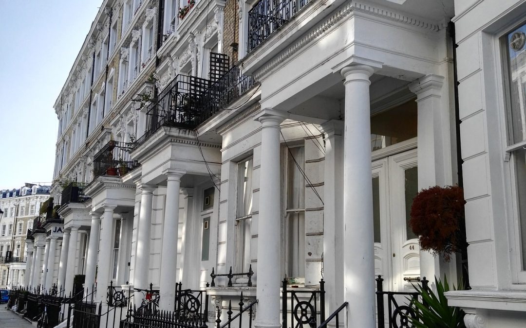 Luxury Dog Hotel London