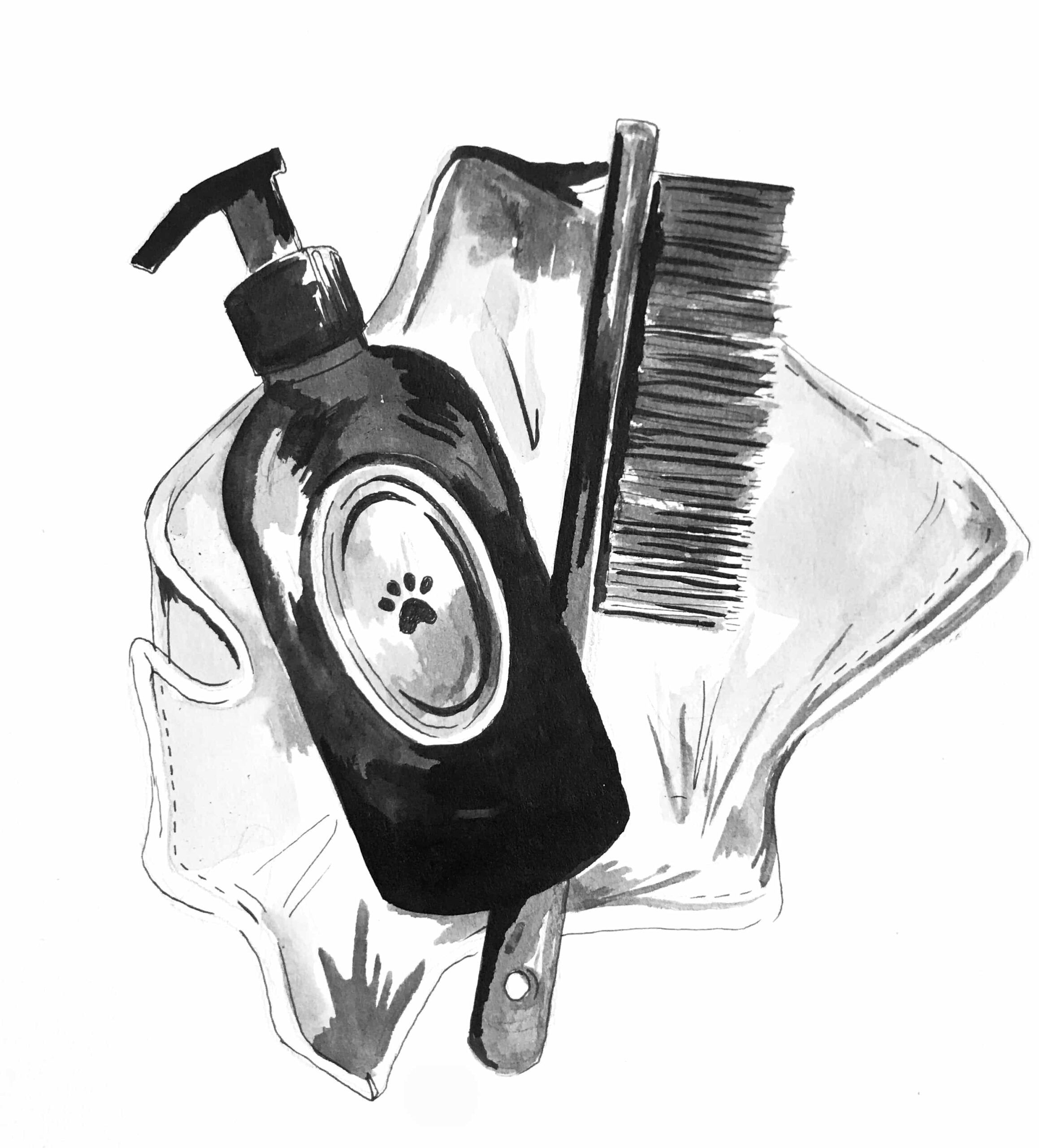 Ink illustration of dog grooming tools: a brush, comb and scissors