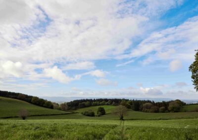 A view over the rolling Somerset countryside from the Country Dog Hotel
