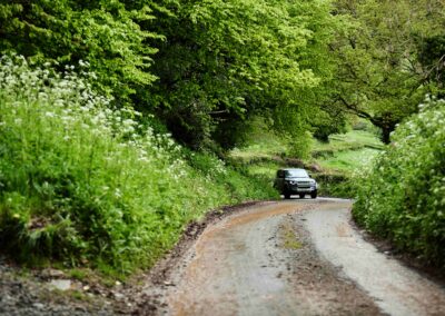 A country lane winding through green woodland on the Country Dog Hotel estate