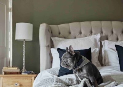 A French bulldog on a guest bed at the Country Dog Hotel