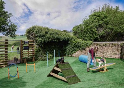 A dog agility course on the lawn at the Country Dog Hotel