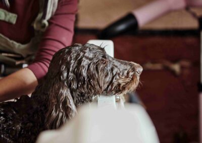 A dog being bathed by a groomer at the Country Dog Hotel spa