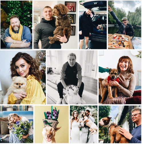 Online Fun Dog Show