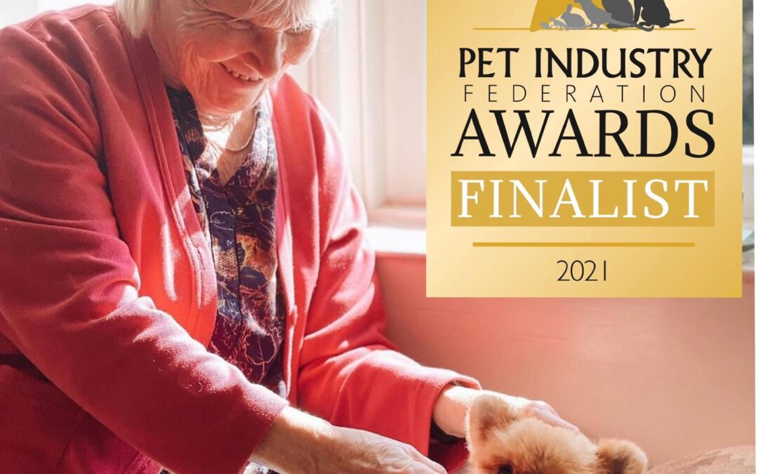 Home Boarding Business of the Year 2021 Finalists